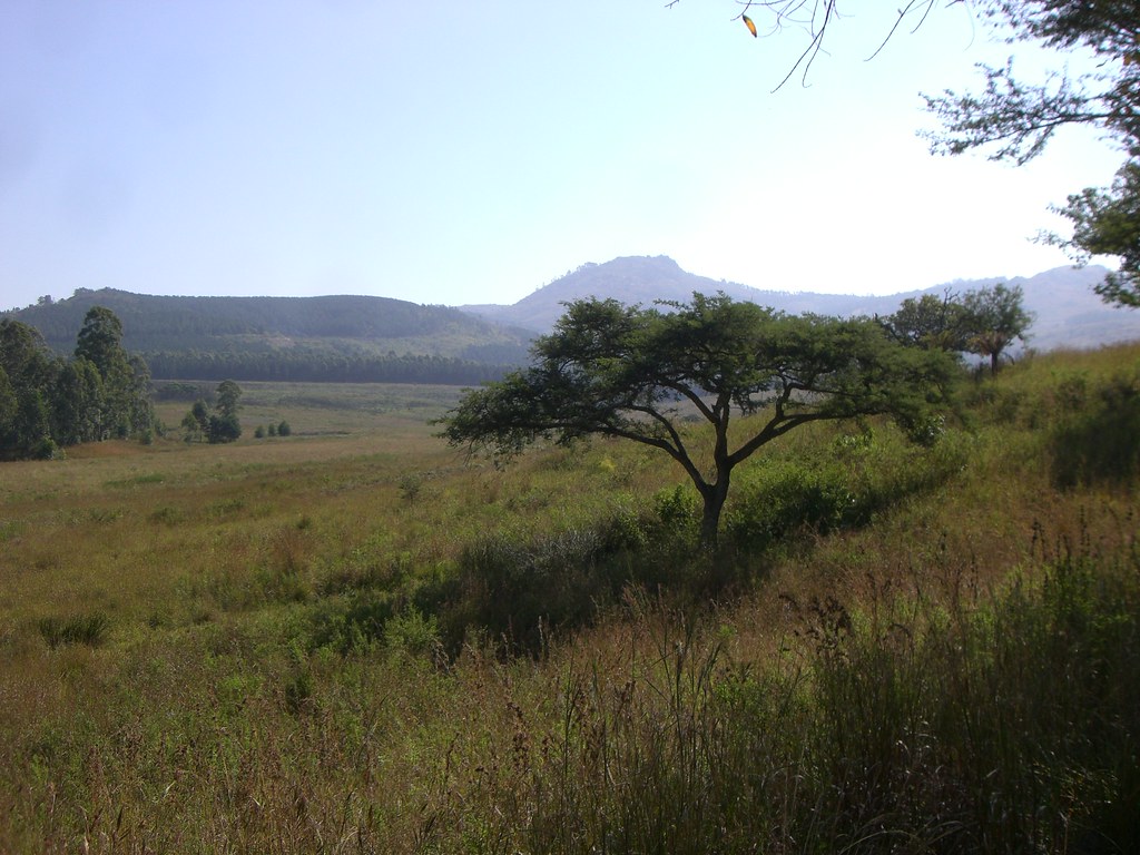 The African Wilderness: The Botswana Safari Gold Standard