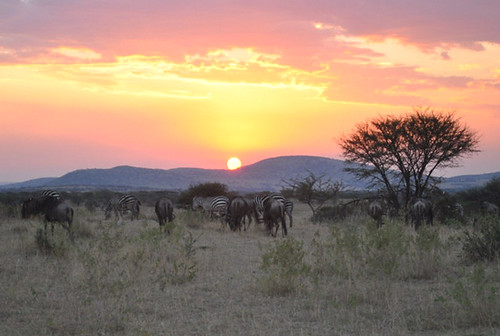 Sustainable Luxury and Impact Travel