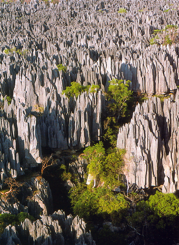 The Tsingy de Bemaraha: A Labyrinth of Limestone