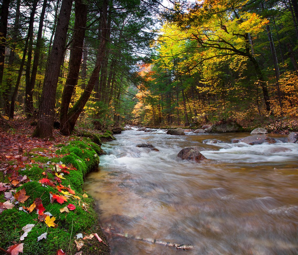 Seasonal Considerations: When to Visit