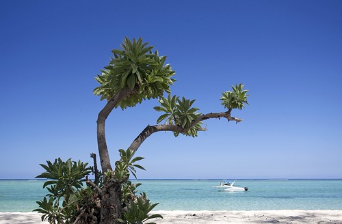 Mauritius: Indian Ocean Elegance on a Budget
