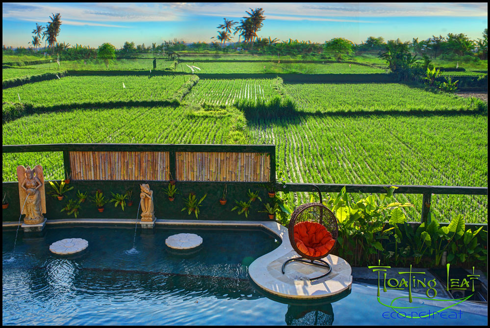 Spa and Wellness Traditions