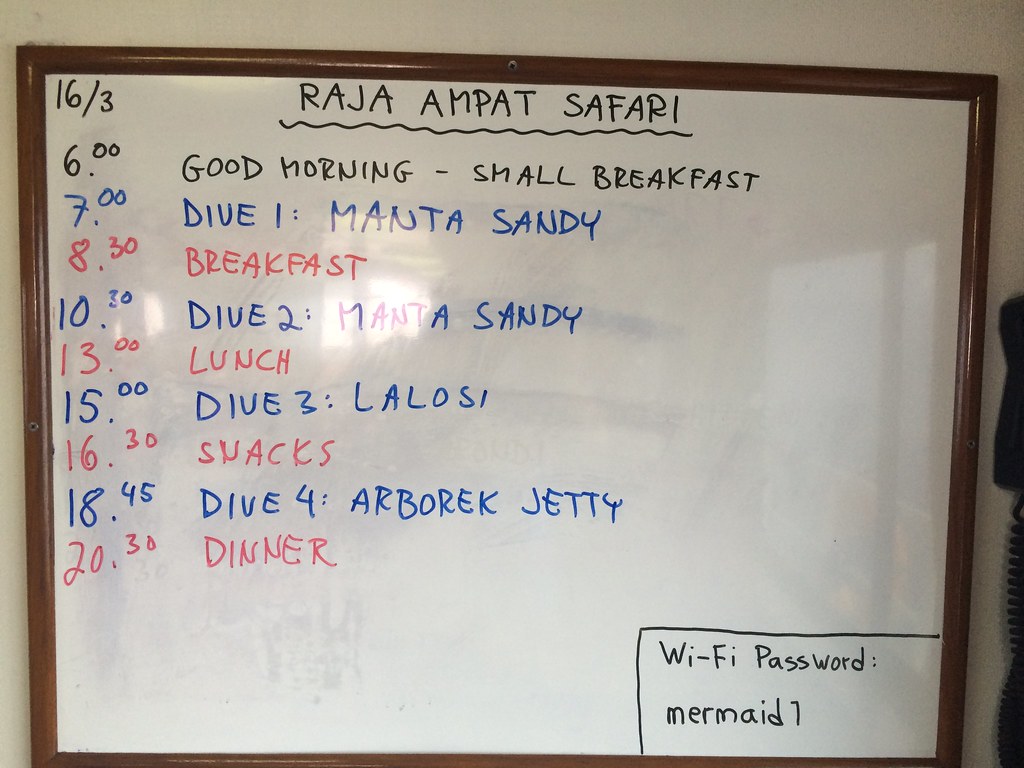 Raja Ampat Diving: The Epicentre of Biodiversity