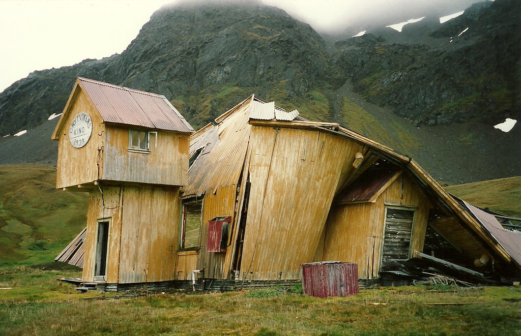 South Georgia: The Serengeti of the Southern Ocean