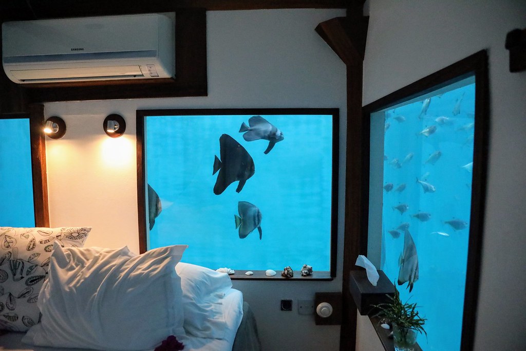 The Manta Resort, Zanzibar: The Underwater Room