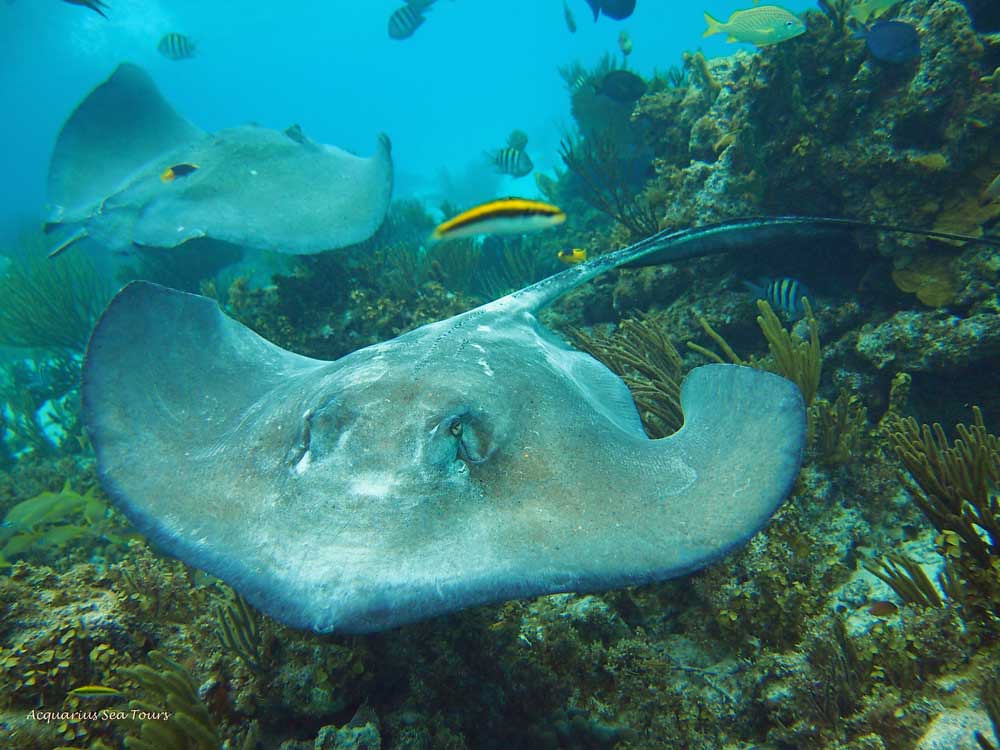 Shore Excursions: Beyond the Ordinary