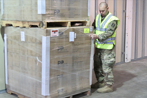 Planning Logistics: Flights and Transfers
