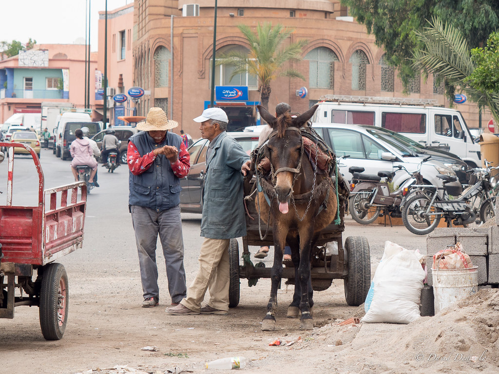 Marrakech: Arabian Nights and Spa Sanctuaries