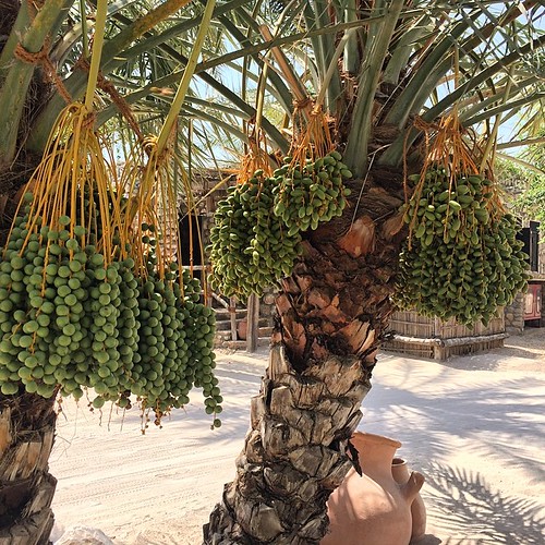 Six Senses Zighy Bay: An Omani Sanctuary