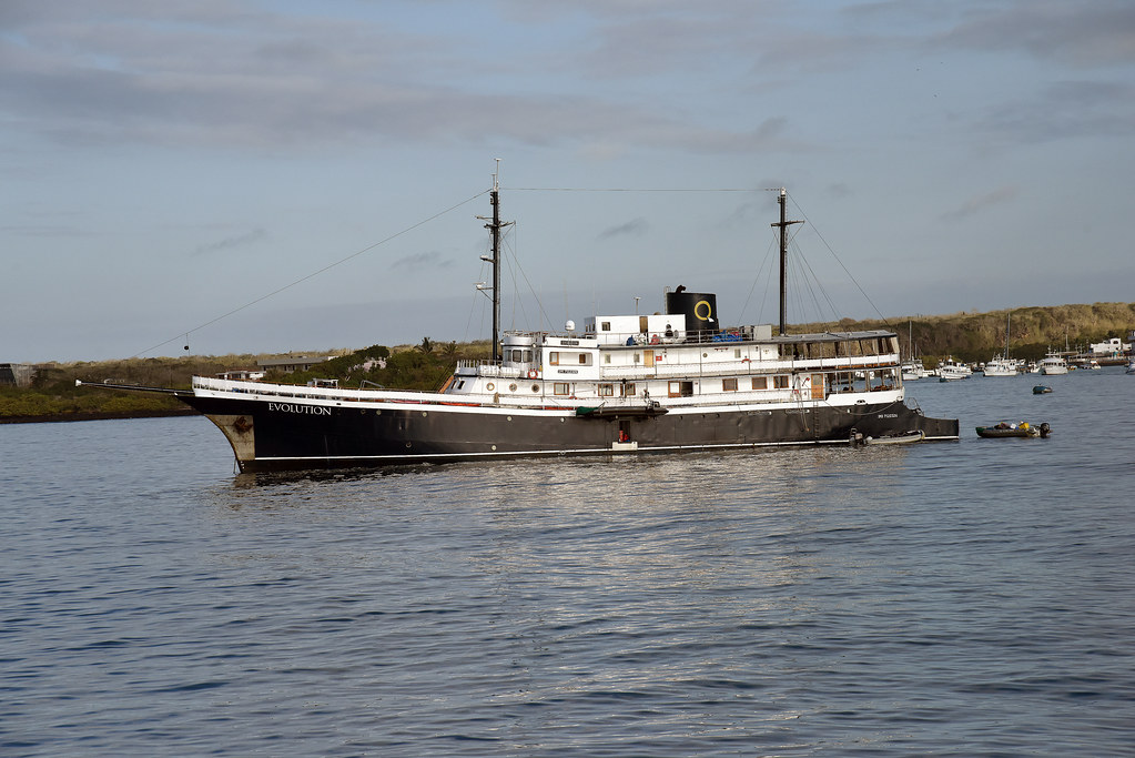 The Evolution of the Expedition Vessel