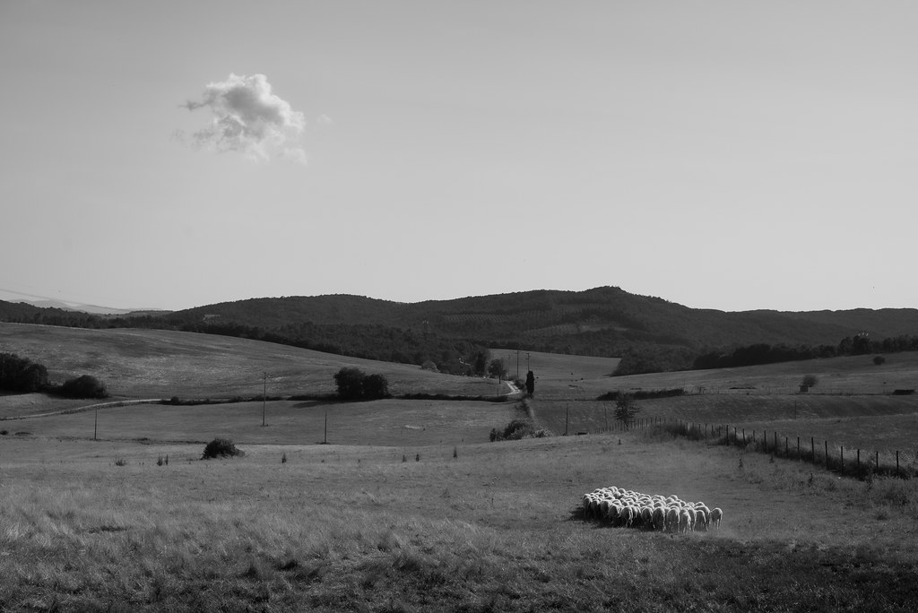 Tuscany: Wine, Sunsets, and Italian Style