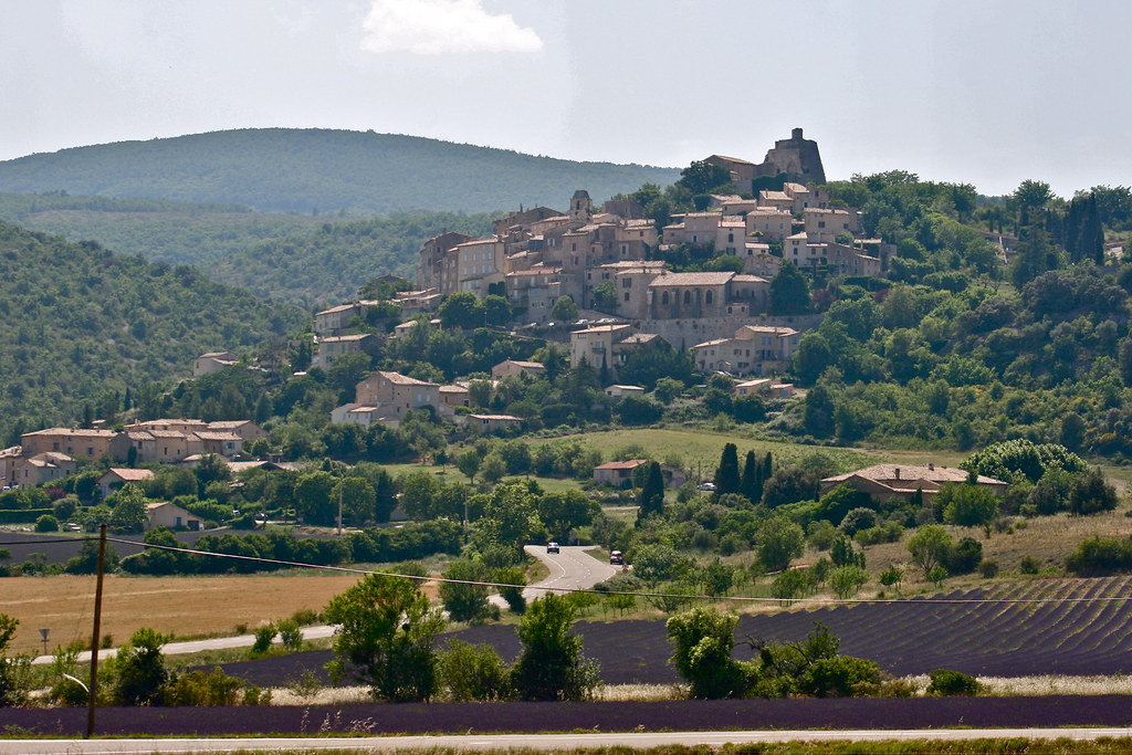The Lavender Fields and Vineyards of Provence, France