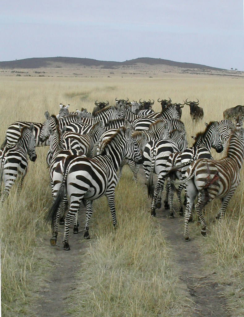 Sustainability and Ethical Exploration