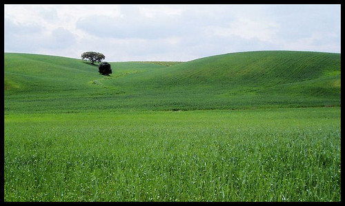 Portugal’s Alentejo: The Affordable Alternative to Tuscany