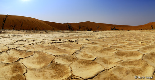 The Desert Surrealism of Sossusvlei, Namibia