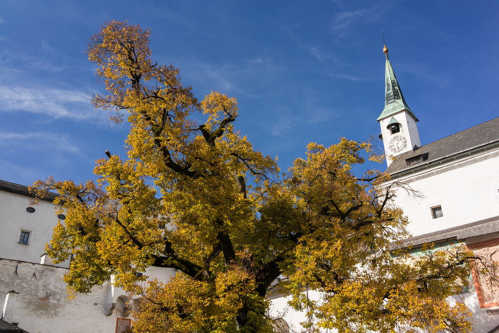 Kitzbühel: The luxury ski stag