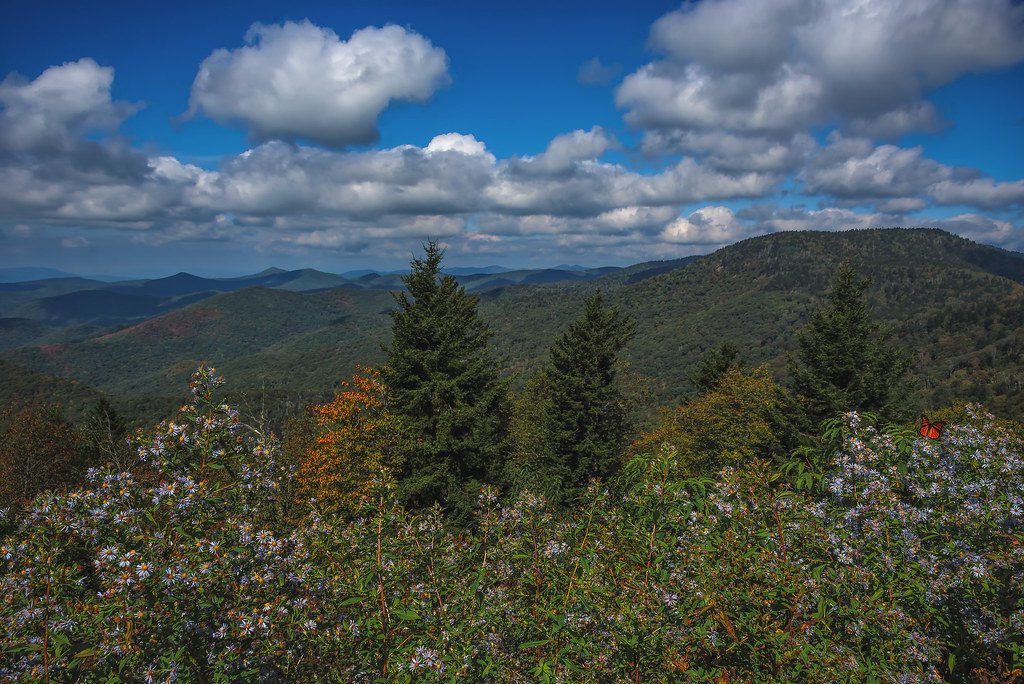 The Blue Ridge Parkway: America’s Favourite Drive