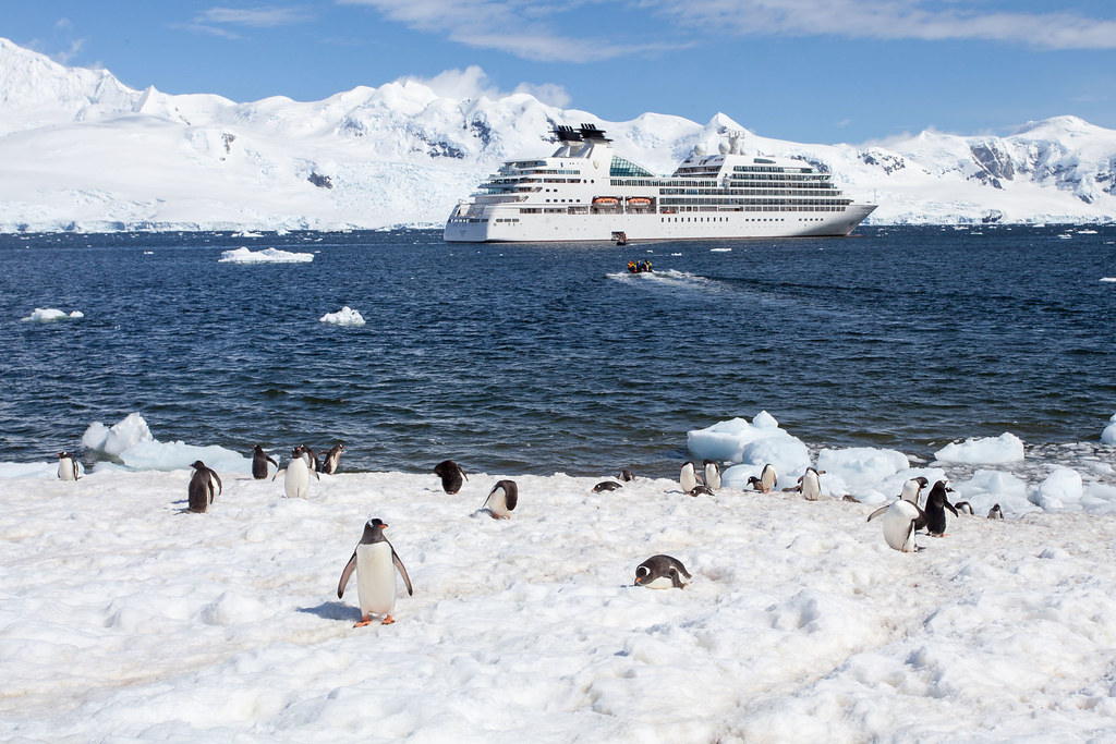 The Luxury Fleet: Choosing Your Vessel