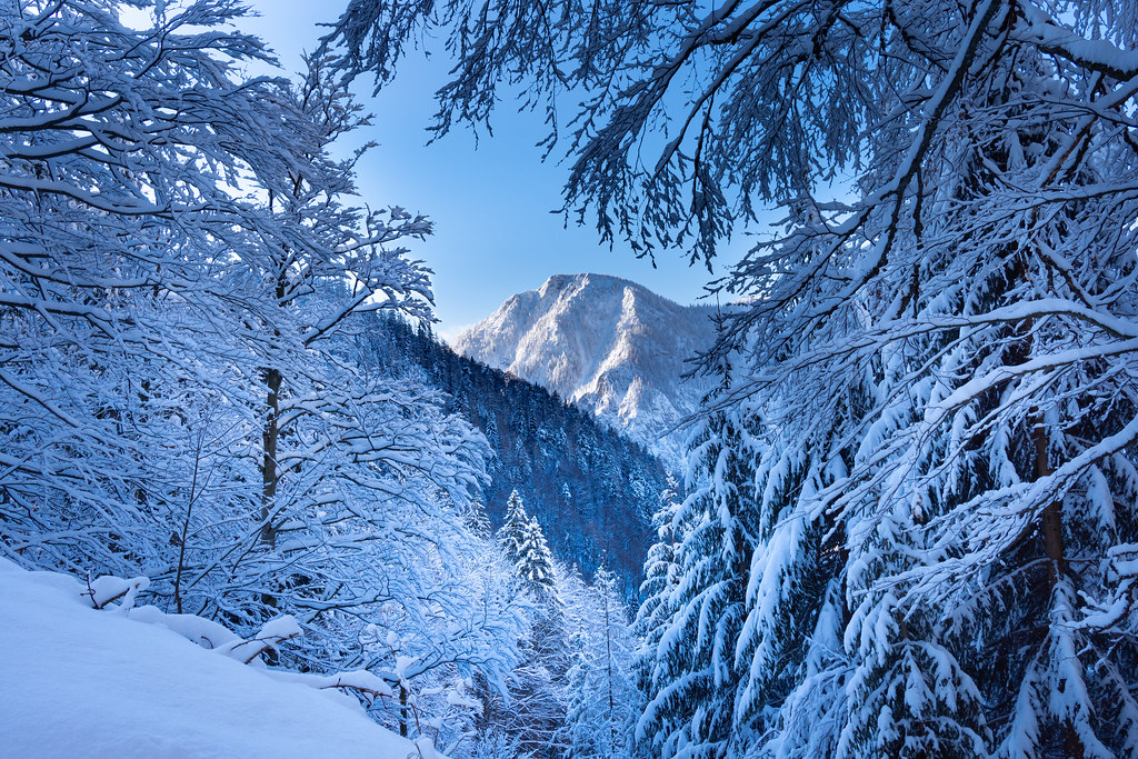 Winter Wonder: Tomorrowland Winter, Alpe d’Huez, France