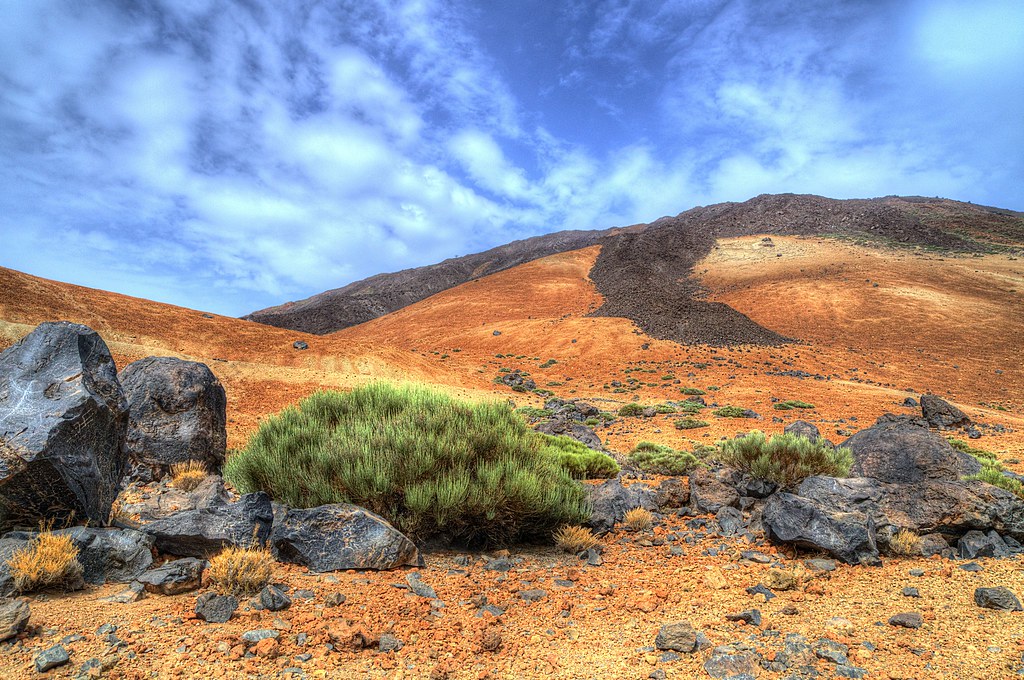The Canary Islands: Year-Round Sunshine and Sophistication