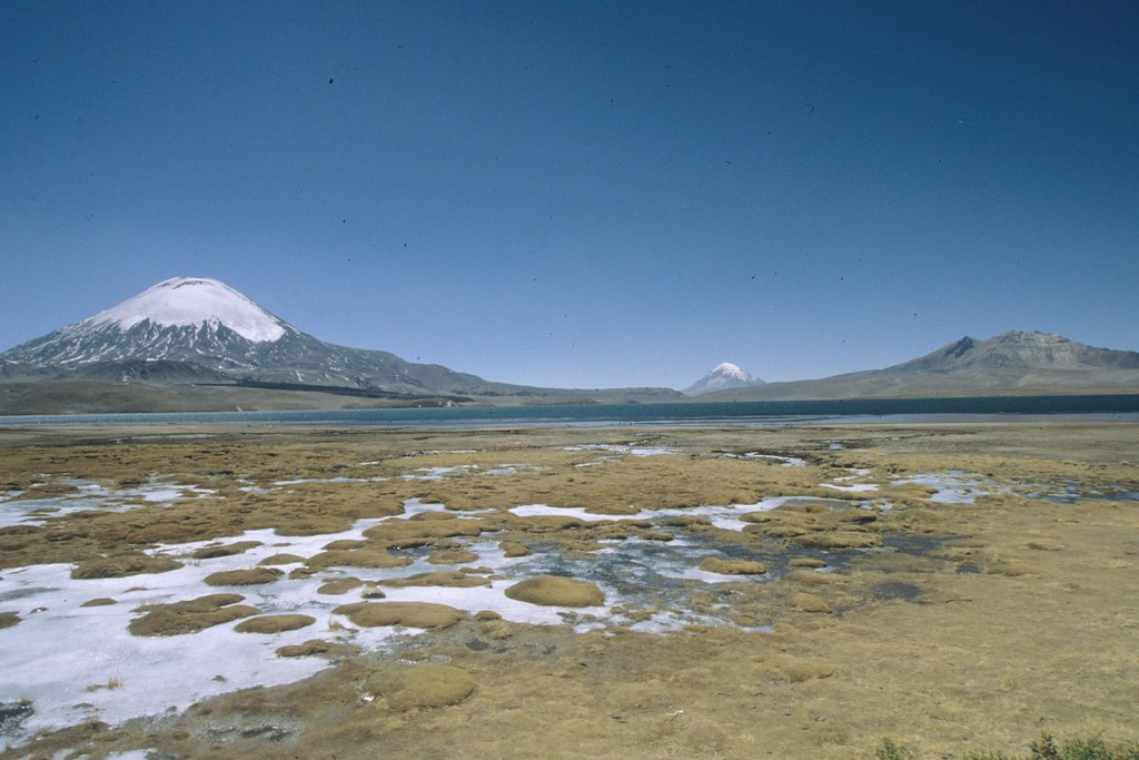Sustainable and Impactful Travel