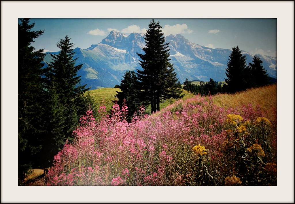 The Alps: Year-Round Inclusive Excellence