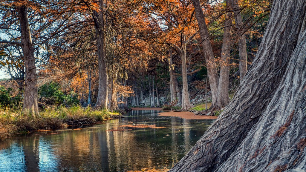 The Hill Country: Mist, Moss, and High Tea