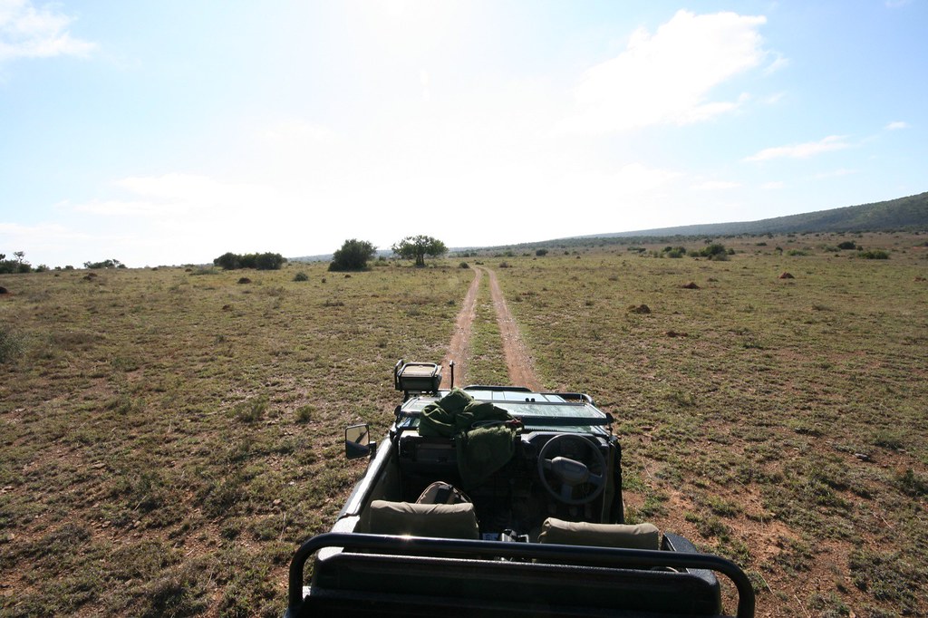 Kwandwe: The Pinnacle of Eastern Cape Conservation