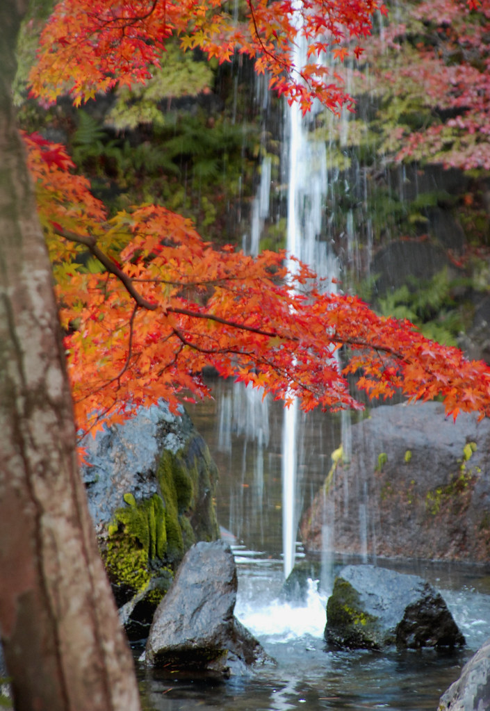Seasonality and Best Time to Visit