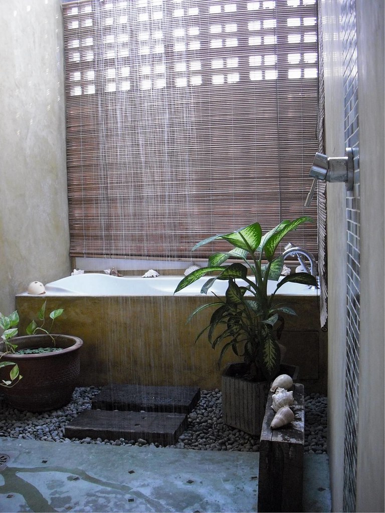 Ayurveda and Wellness: The Science of Life